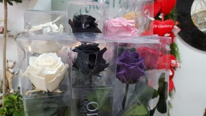San Valentin Zaragoza Flores