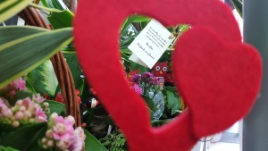 San Valentin Zaragoza Flores