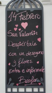 San Valentin Zaragoza Flores