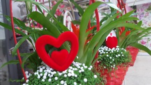 San Valentin Zaragoza Flores